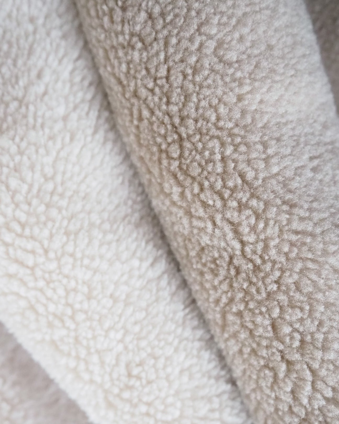 Rugtas Teddy